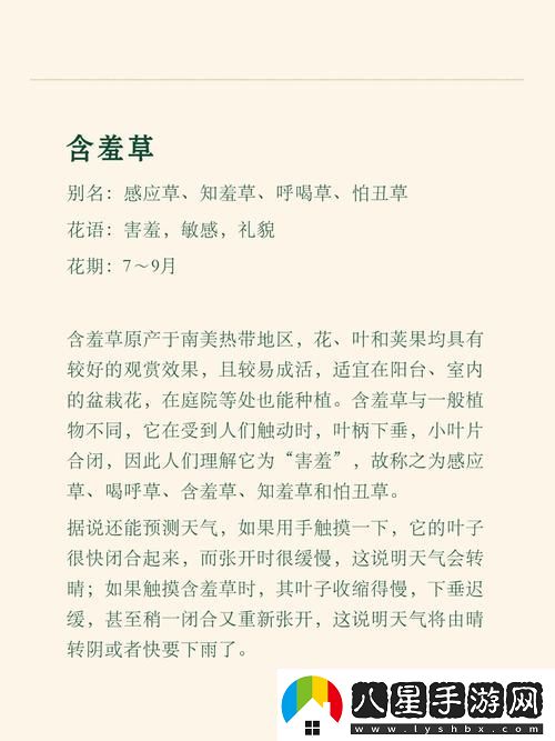 揭示情感深邃的含羞草電視劇背景故事
