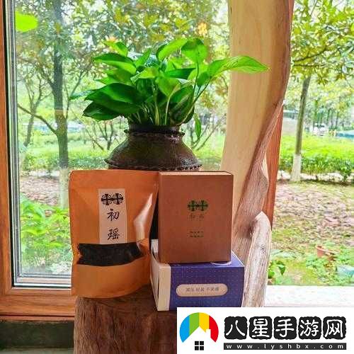 藏秘雄精：傳承千年的神秘養(yǎng)生瑰寶與獨特魅力