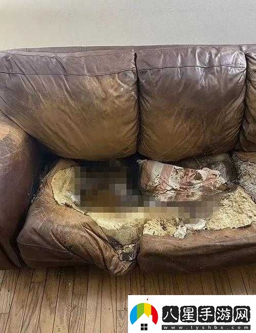 小啞巴身懷六甲孤獨(dú)地坐在沙發(fā)上