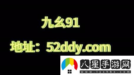 九幺黃9·1安裝技巧：輕松掌握快速上手