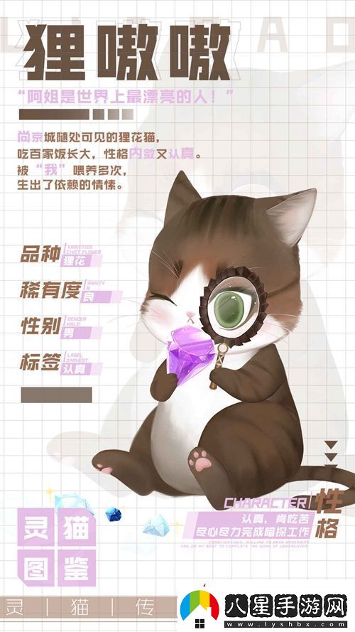靈貓傳老實孩子貍嗷嗷屬性圖鑒