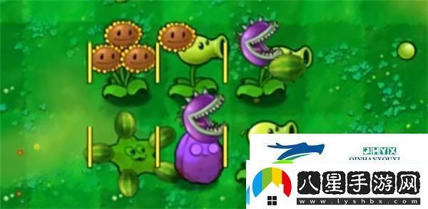 植物大戰(zhàn)僵尸嫁接版怎么玩