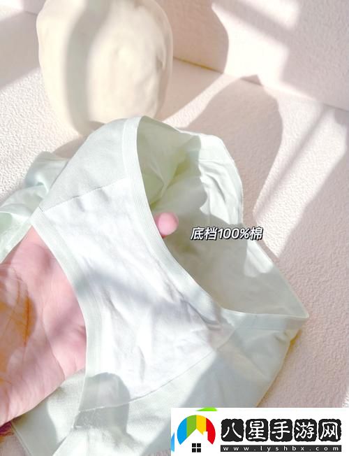 精致舒適的蜜桃91精品秘?入口內(nèi)褲