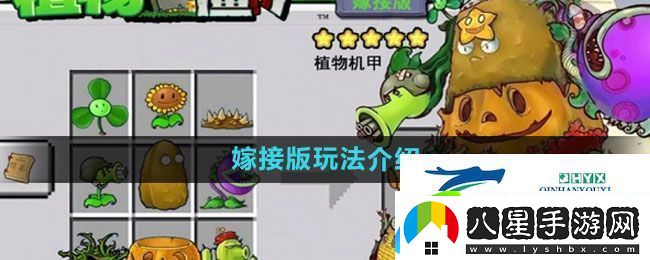 植物大戰(zhàn)僵尸嫁接版怎么玩