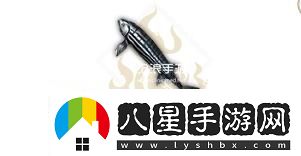 妄想山海斑馬魚屬性介紹
