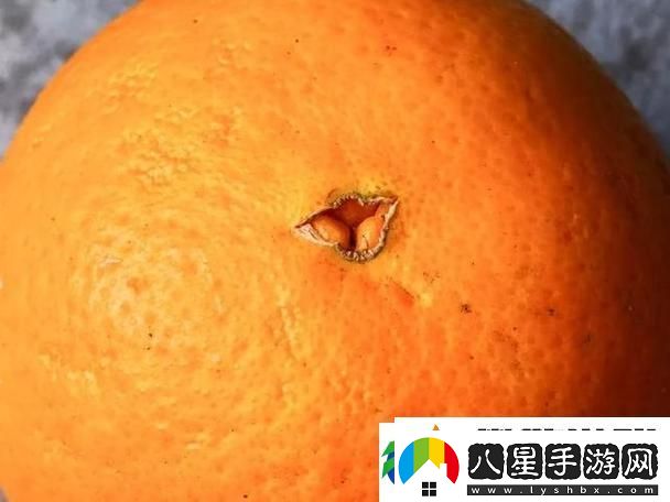 “橙子鉆孔