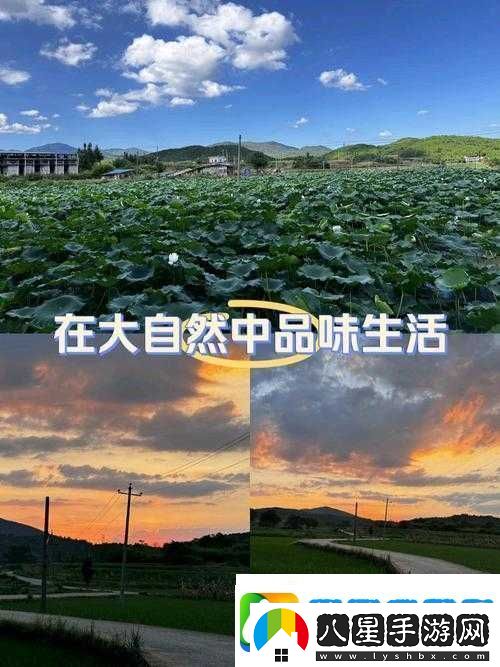 仙蹤林網(wǎng)站主頁(yè)