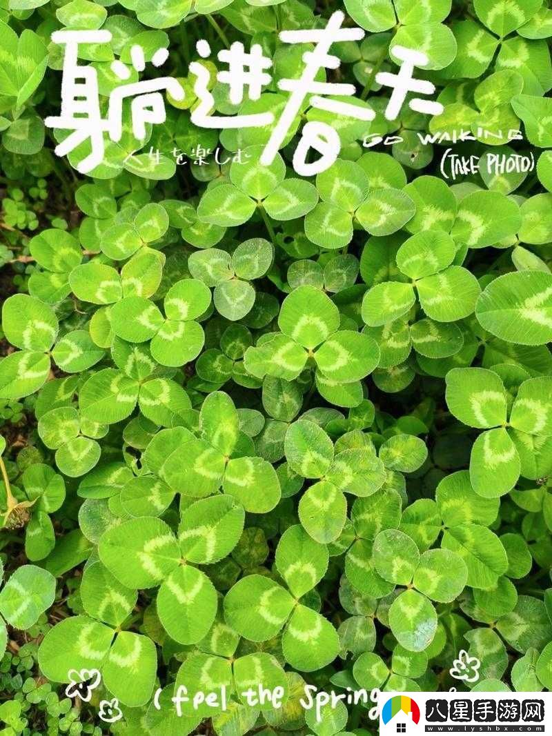 三葉草的春天