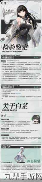 鳴潮白芷深度培養(yǎng)攻略