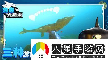 薄暮傳說難度選擇的深度解析