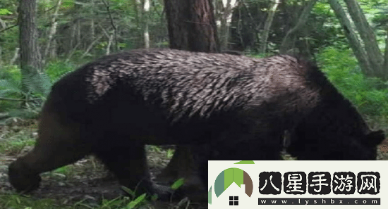 游你扯淡