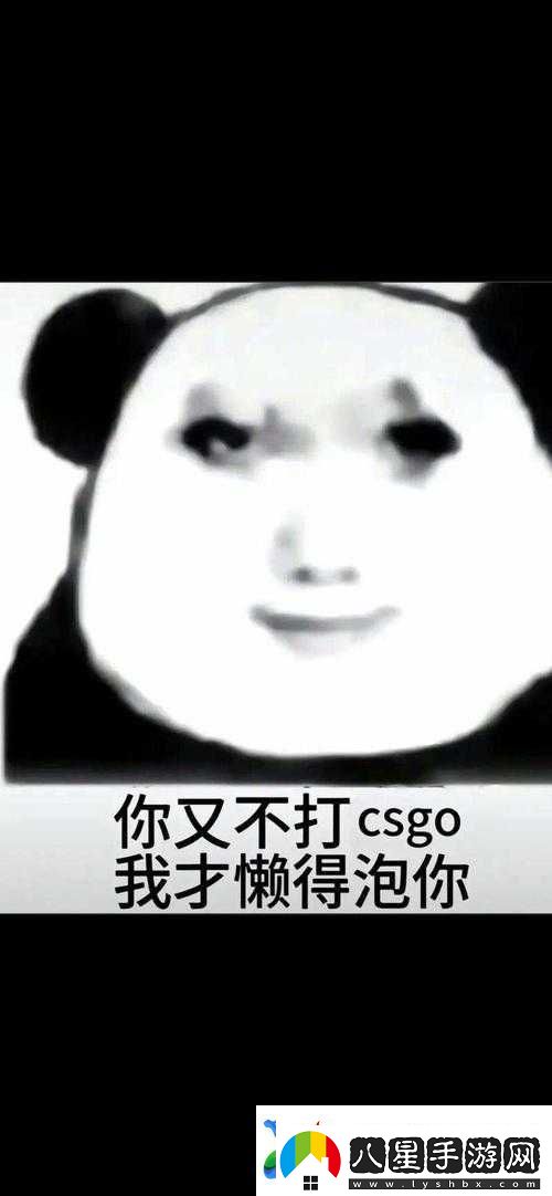 暴躁老姐的CSGO實戰(zhàn)技巧分享