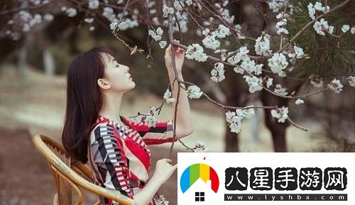144447大但人文藝術(shù)