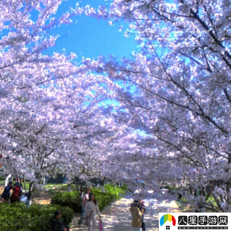 櫻花站