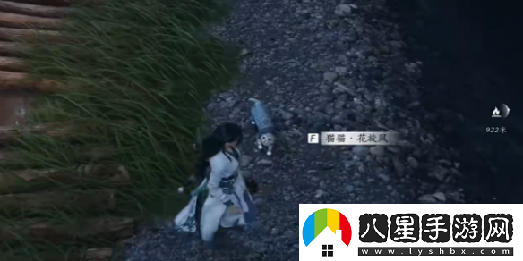 燕云十六聲貓貓花旋風(fēng)位置在哪