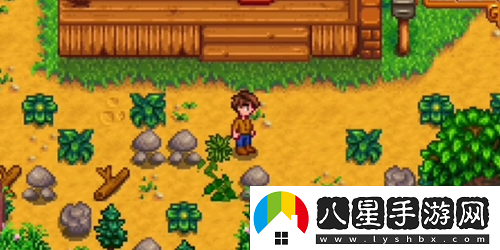 星露谷物語農(nóng)場哪個(gè)好