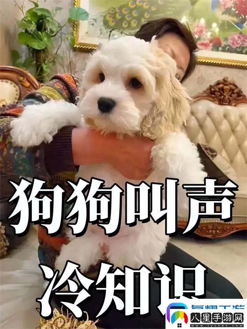 抖S狗狗要乖乖聽主人的話網(wǎng)友