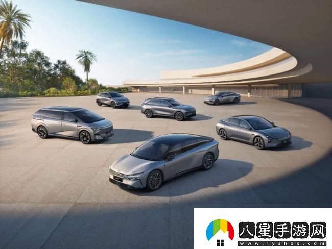何小鵬稱自己長(zhǎng)得老實(shí)總被騙