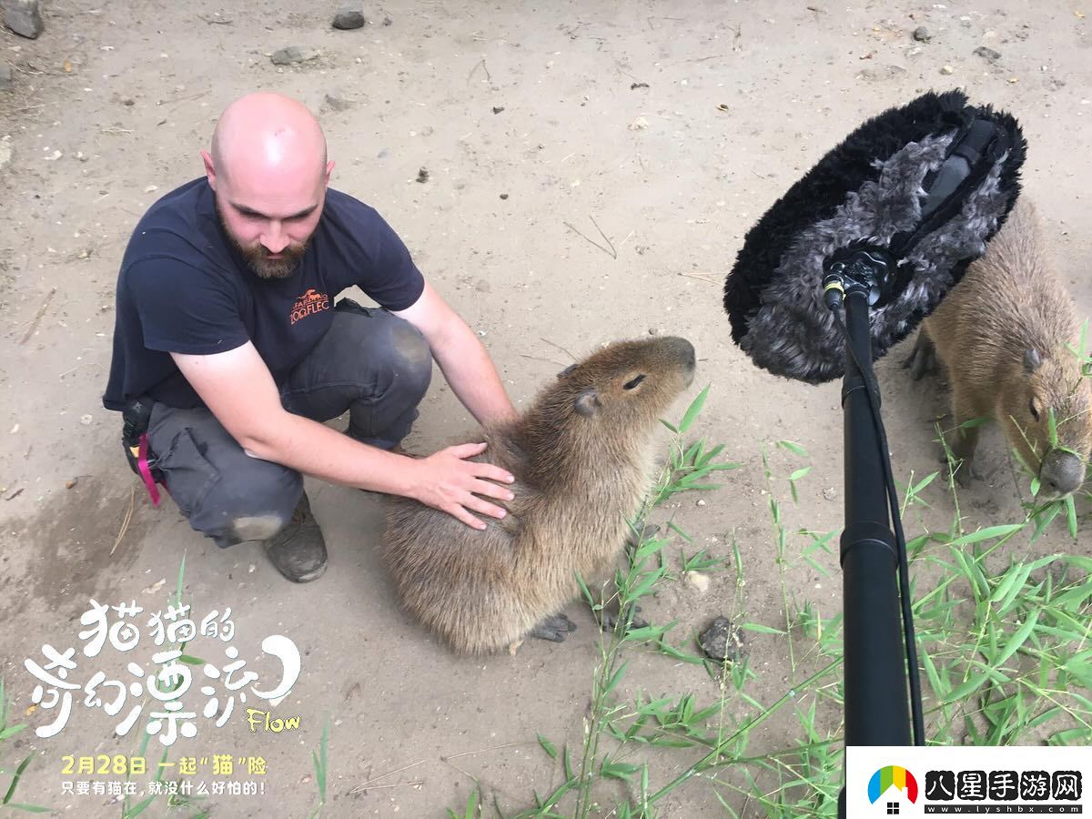 動(dòng)畫電影貓貓的奇幻漂流發(fā)布“再靠近一點(diǎn)點(diǎn)”幕后特輯
