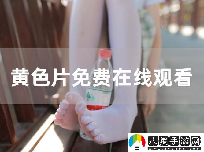 免費(fèi)高清在線觀看人數(shù)在哪