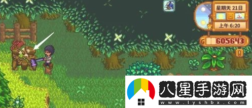星露谷物語自動(dòng)撫摸機(jī)如何獲得