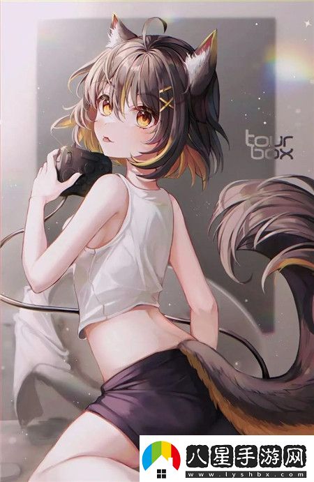 老版九1免費(fèi)版下載安裝