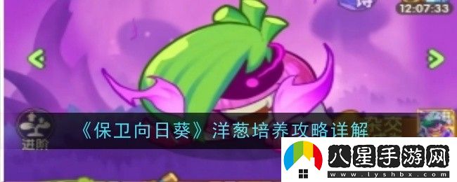 保衛(wèi)向日葵洋蔥怎么培養(yǎng)