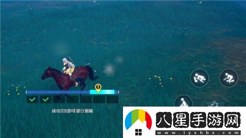 諾亞之心馬怎么馴服