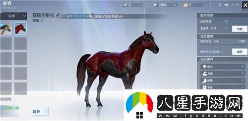 諾亞之心馬怎么馴服