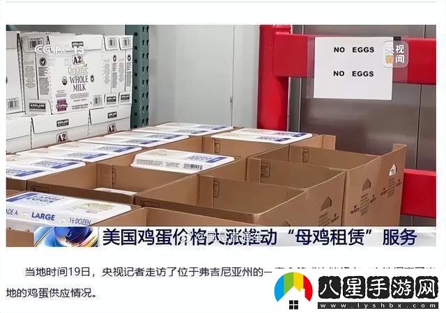 美蛋價飆升催熱母雞租賃