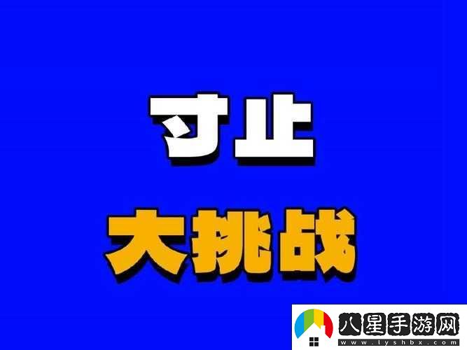 什么是