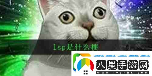 抖音lsp是什么梗