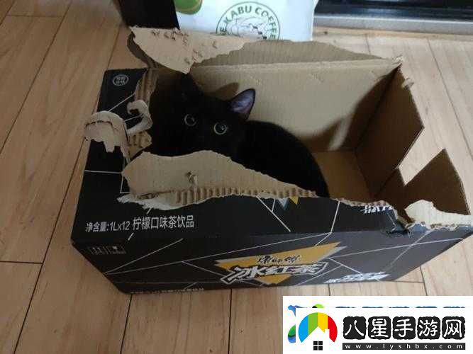 自由觸摸游戲紙盒子是什么