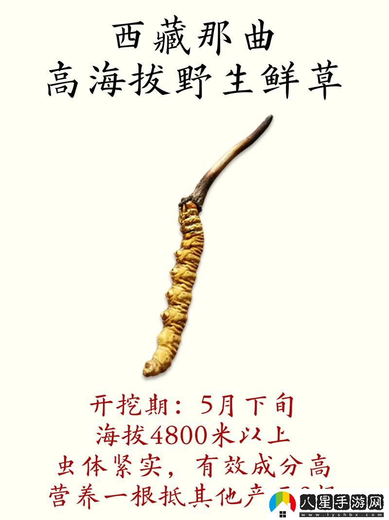 嫩草精產(chǎn)一二三產(chǎn)區(qū)