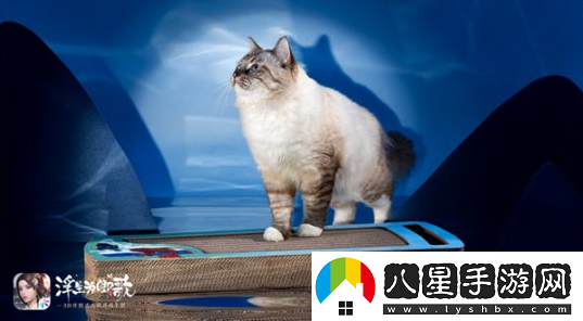 浮生為卿歌手游×一拾吾跨界合作國風發(fā)聲貓抓板