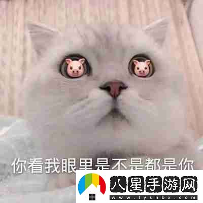 兜風(fēng)嗎妹妹表情包