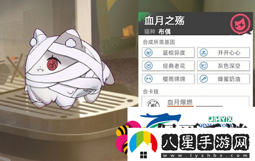 貓之城主題貓?jiān)趺传@得