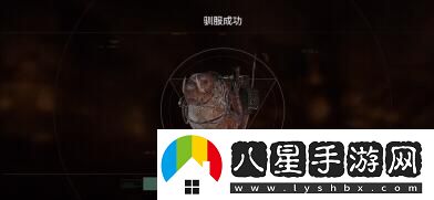 破碎之地坐騎抓取詳細(xì)操作流程