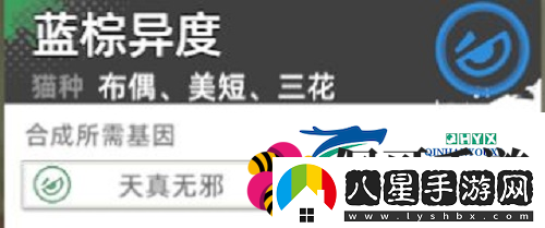 貓之城主題貓?jiān)趺传@得