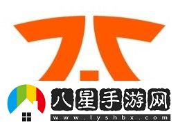 英雄聯(lián)盟S11全球總決賽LEC賽區(qū)FNC戰(zhàn)隊成員有哪些
