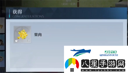 諾亞之心果肉怎么獲取