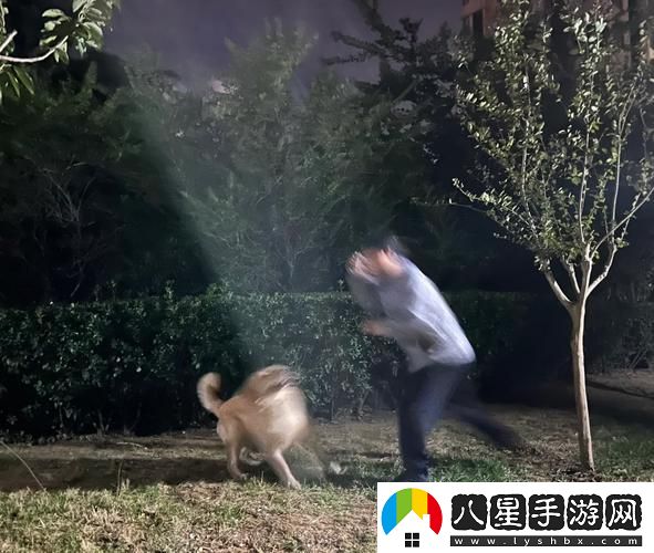 人狗大戰(zhàn)5免費(fèi)在線觀看完整版