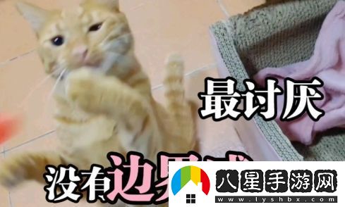 討厭沒有邊界感的人是什么梗絡用語討厭沒有邊界感的人梗意思及出處分享