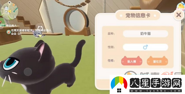 心動小鎮(zhèn)怎么養(yǎng)貓