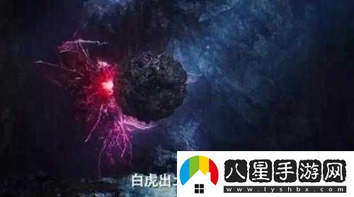 刺激的白虎**探索之旅