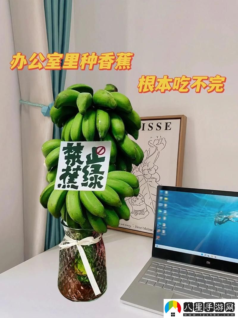 后香蕉人文化傳播有限公司上線