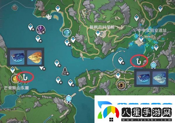原神灰河渡手釣魚地點(diǎn)分布圖