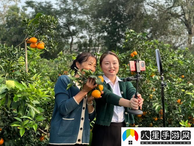柑橘直播
