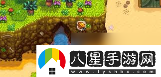 星露谷物語快速獲取金核桃的方法