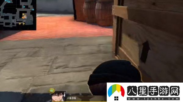 CSGO636是什么意思